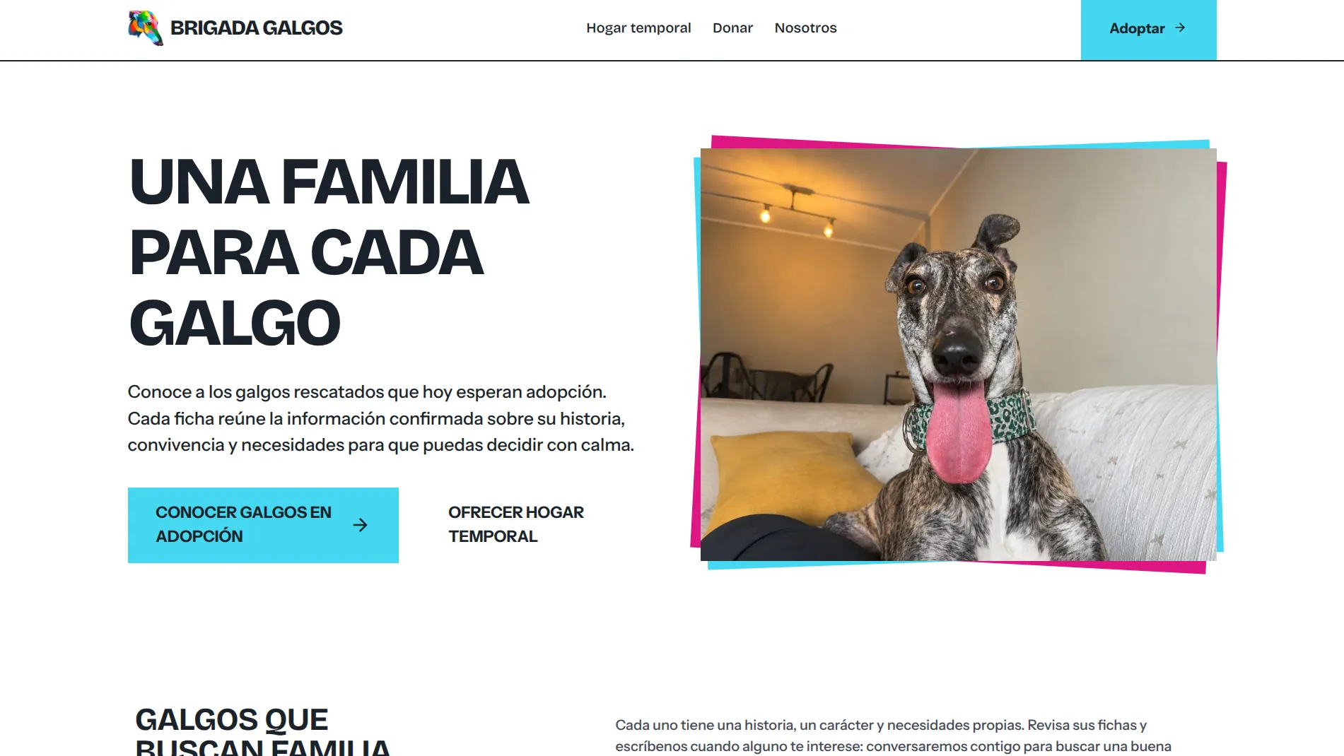 Captura de la página de inicio de brigadagalgos.cl