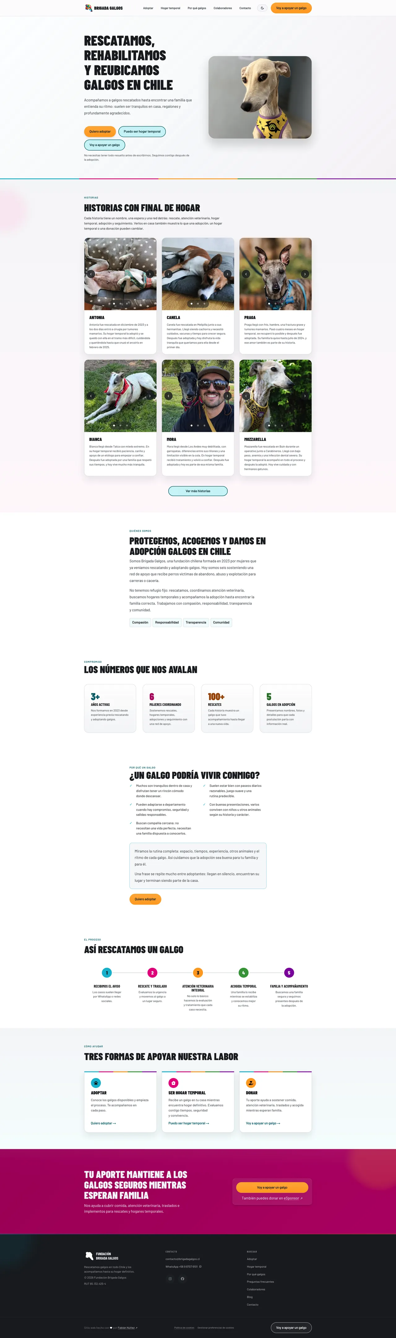 Sitio brigadagalgos.cl con presentación clara de causa y contacto